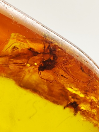 AAM0015 Янтарь с многочисленными инклюзами  «Муха Зеленуха»