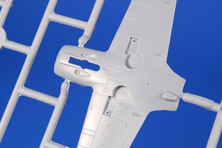 SH72418 SIAI-Marchetti SF-260M/AM/W Special Hobby