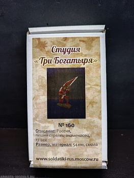 160ТБ ВИМ, пеший стрелец - знаменосец