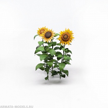 S162MWP Подсолнухи, размер M S162MWP Подсолнухи, размер M