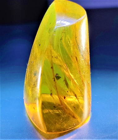 AAM0011 Янтарь с инклюзом «Серебряная рыбка». Очень редкая и очень крупная Чешуйница из отряда Щетинохво́сток (Zygentoma)