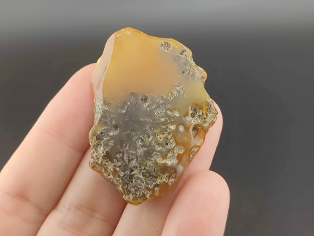 AAM0036 Спилы янтаря 