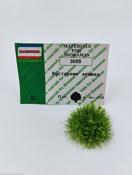 3055 Кустарник лещина 13шт.