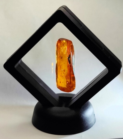 AAM0019 Янтарь с инклюзом "Два листика"