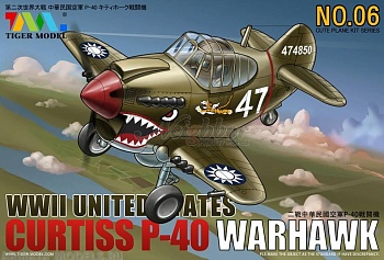 106 Cute  U.S P-40 Warhawk Fighter