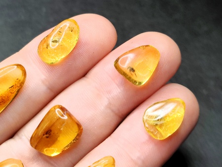 AAM0025 Янтарь с инклюзом Коллекция на ладони