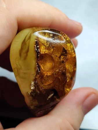 AAM0018 Янтарь с инклюзом Macrochile baltica «Луна и Солнце»