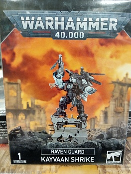 48-89GW Набор Гвардия Ворона. Кайваан Шрайк (Raven Guard Kayvaan Shrike) 48-89GW Набор Гвардия Ворона. Кайваан Шрайк (Raven Guard Kayvaan Shrike)