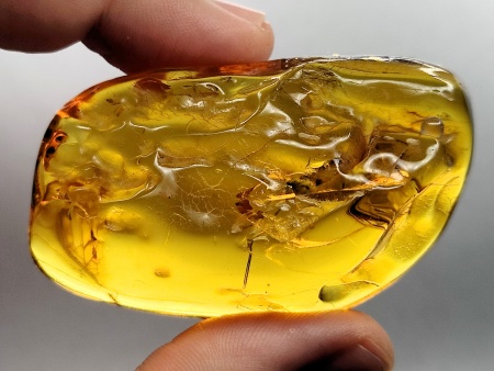 AAM0021 Эксклюзивный янтарь с музейным инклюзом «Москито». Гигантский комар-долгоножка. 3 см.