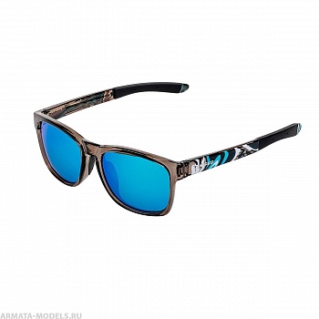 Очки поляризационные в жест.чехле (N-OP-TF2038-B) Nisus