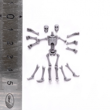 S205MWP Скелеты, размер S, 2шт MiniWarPaint