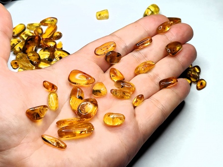 AAM0025 Янтарь с инклюзом Коллекция на ладони