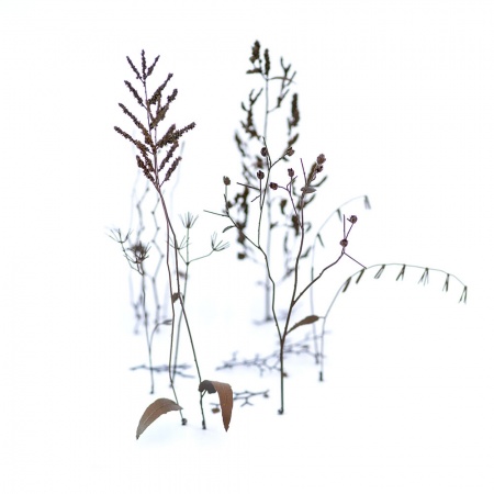 S-234 Зимние ветки, размер L