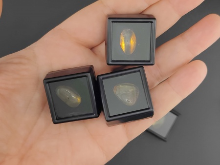 AAM0025 Янтарь с инклюзом Коллекция на ладони