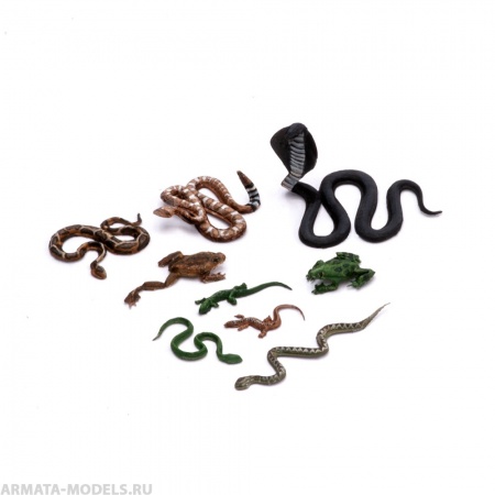 S-241 Рептилии , размер L