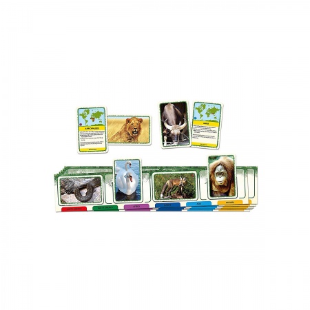 TAC58087 Животные мира