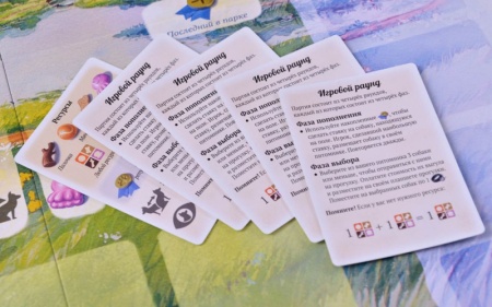 915537HW Прогулки с собаками