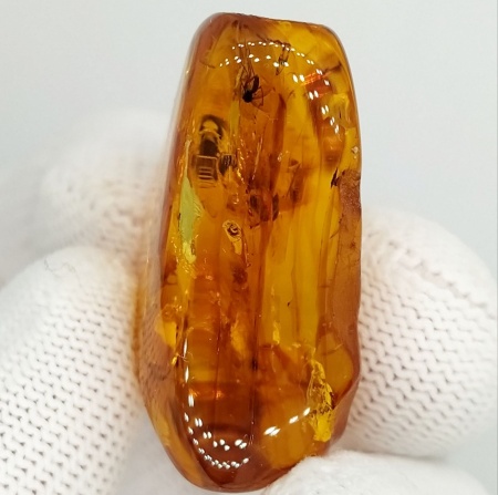 AAM0010 Янтарь с многочисленными инклюзами «Микромир». 2 комара, муха, 6(!) клещей в шикарном камне.