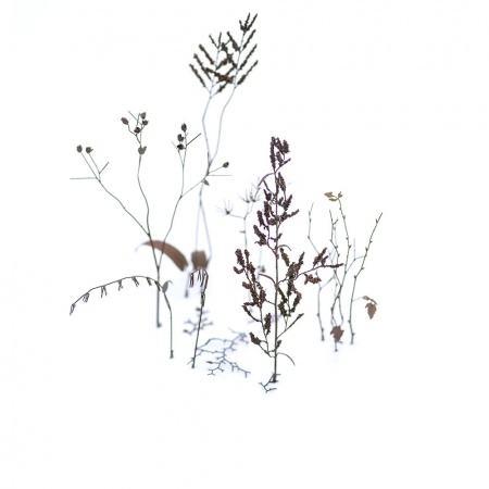 S-234 Зимние ветки, размер L