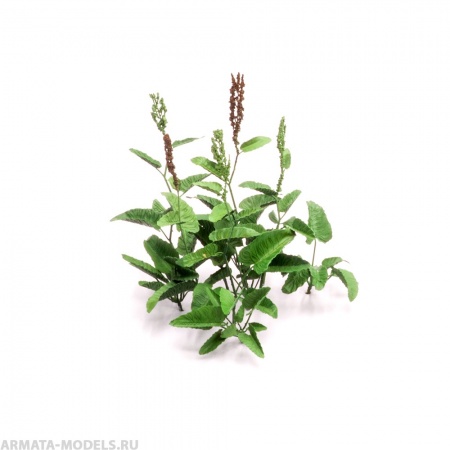 S174MWP Конский щавель, размер L