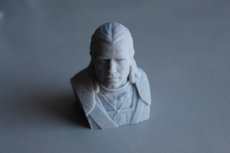 AM1020 Бюст Ведьмак