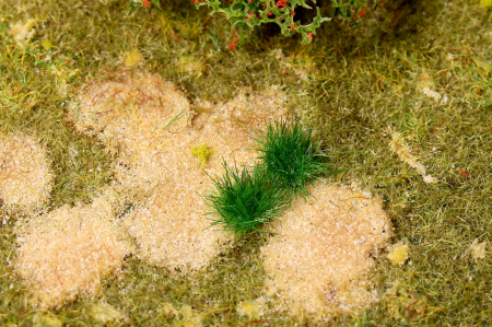 080trf052 Пучки травы для макета. Яркая трава.