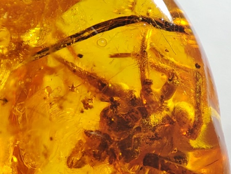 AAM0017 Янтарь с инклюзом «Тройная редкость»