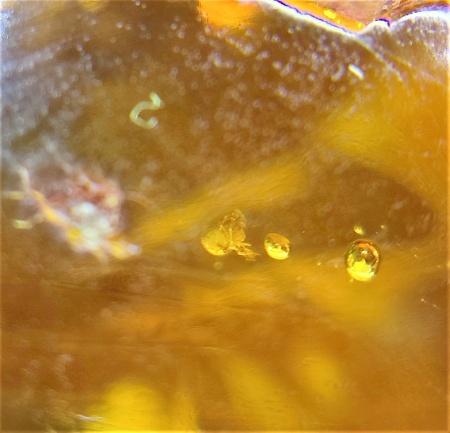 AAM0007 Янтарь с многочисленными инклюзами «Паучье логово». 6 пауков и другие насекомые в большом красивом камне.