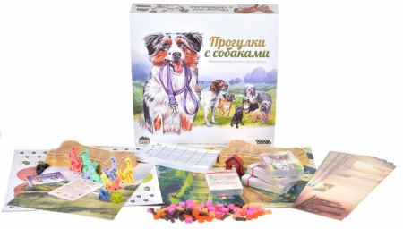 915537HW Прогулки с собаками