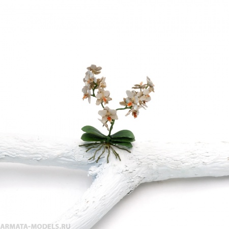 S175MWP Орхидея, размер M