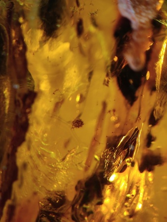 AAM0012 Янтарь с многочисленными инклюзами Охотничье угодье. 43 грамма! 