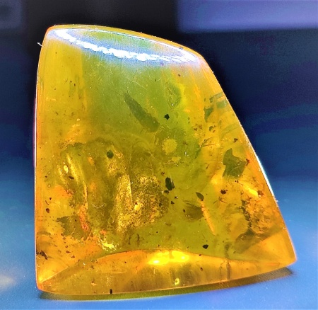 AAM0011 Янтарь с инклюзом «Серебряная рыбка». Очень редкая и очень крупная Чешуйница из отряда Щетинохво́сток (Zygentoma)