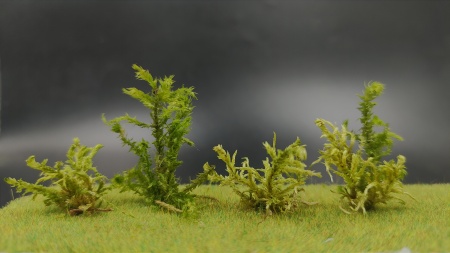 30119 Сорняковые растения