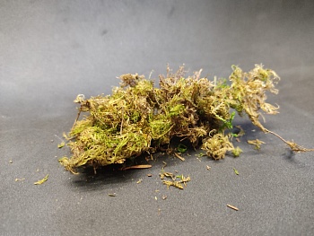 35055 Лапник еловый сухой