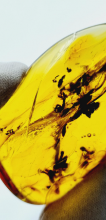 AAM0027 Янтарь с инклюзом