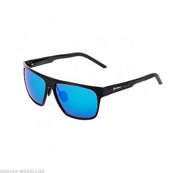 Очки поляризационные в жест.чехле (N-OP-LZ0310-B) Nisus