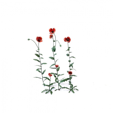 S268MWP Маки, размер L