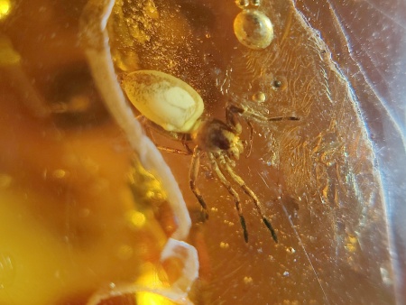 AAM0007 Янтарь с многочисленными инклюзами «Паучье логово». 6 пауков и другие насекомые в большом красивом камне.