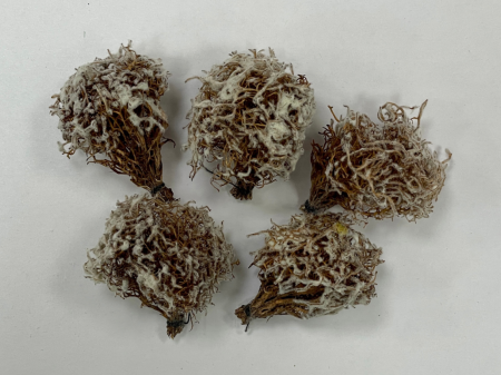 35020/6 Кусты зимние 5шт.