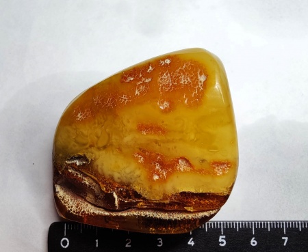 AAM0018 Янтарь с инклюзом Macrochile baltica «Луна и Солнце»