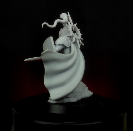 BCK-WG-025 Капитан | Игровая миниатюра 32 мм Blood Carrot Knights