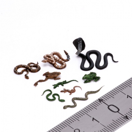 S-241 Рептилии , размер L