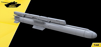 AM48349 Ракета Х38 с пилоном (Не для свободной продажи)