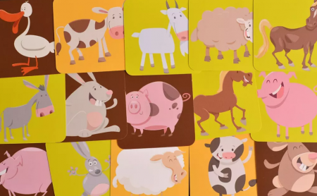 ТК008FI Мемори Ферма (на русском языке)