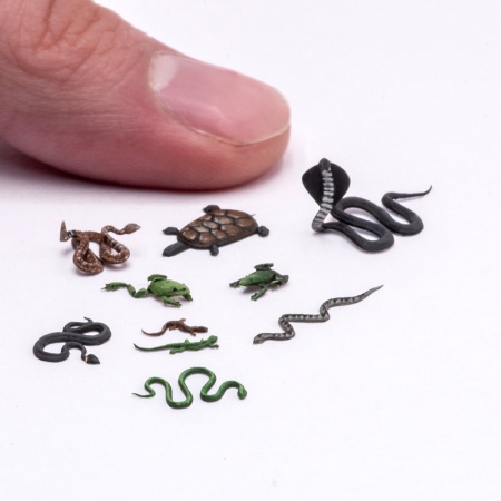 S-240 Рептилии , размер М