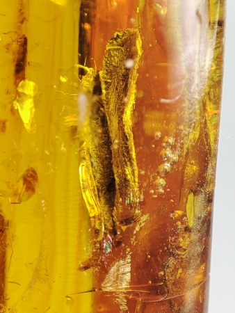 AAM0019 Янтарь с инклюзом "Два листика"