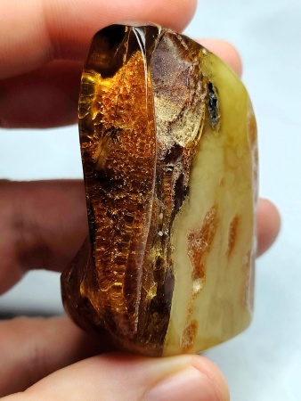 AAM0018 Янтарь с инклюзом Macrochile baltica «Луна и Солнце»