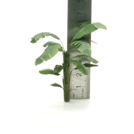 S071MWP Ствол банана, размер XS, 3 шт.