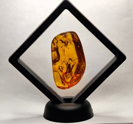 AAM0021 Эксклюзивный янтарь с музейным инклюзом «Москито». Гигантский комар-долгоножка. 3 см.