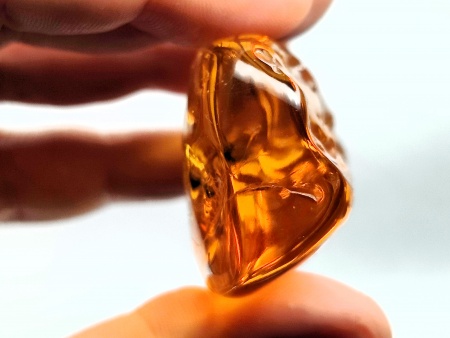 AAM0021 Эксклюзивный янтарь с музейным инклюзом «Москито». Гигантский комар-долгоножка. 3 см.